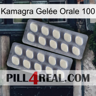 Kamagra Gelée Orale 100 07